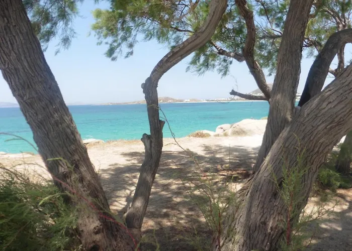 Tatil Evi Stou Chiou *